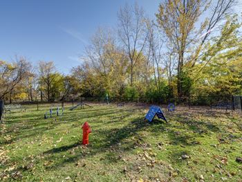 New dog park